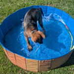 Wasserschlacht der Zwerge