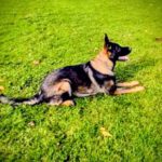 WhatsApp Image 2026-01-14 at 19.40.26