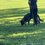 WhatsApp Image 2026-01-14 at 19.42.26 (1)