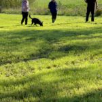 WhatsApp Image 2026-01-14 at 19.42.26 (2)