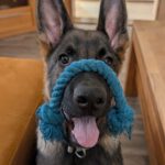 WhatsApp Image 2026-01-14 at 19.42.27 (4)