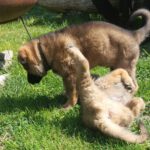 WhatsApp Image 2026-01-14 at 19.42.28 (3)